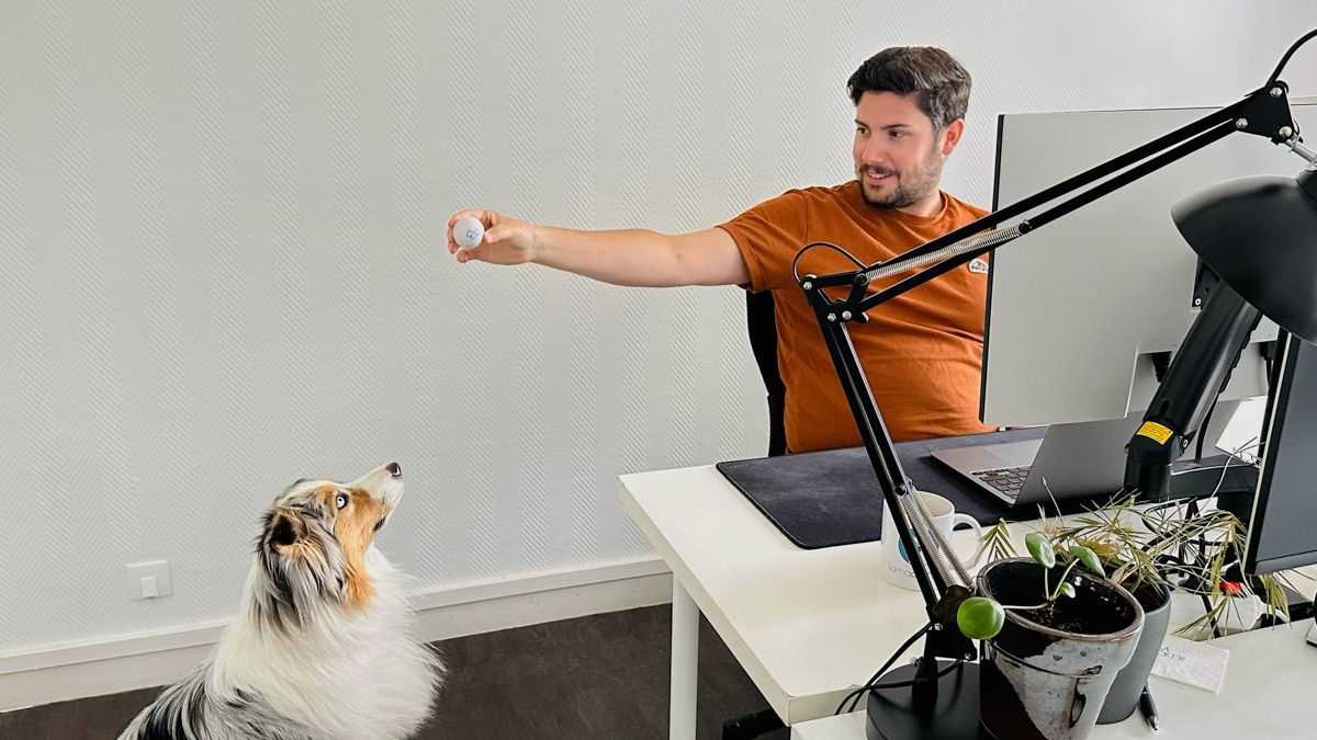 image de Photo d'équipe n°4 de Lamacompta