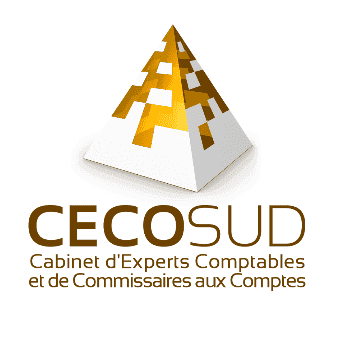 logo de Cecosud Associés