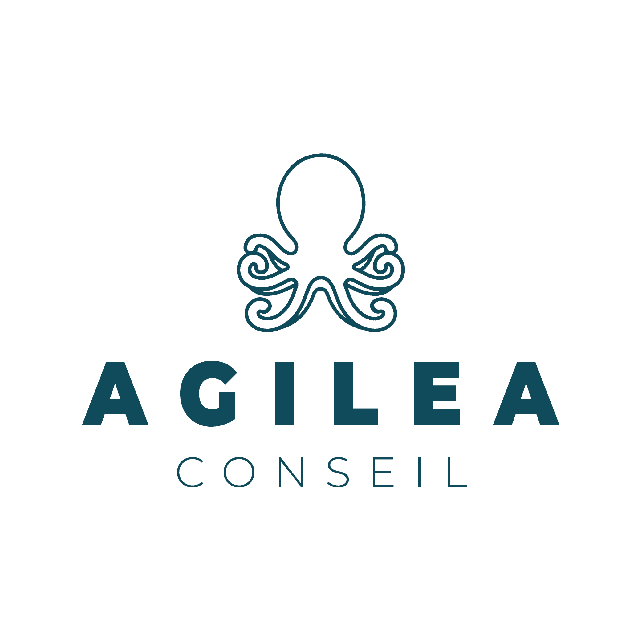 logo de Agilea Conseil