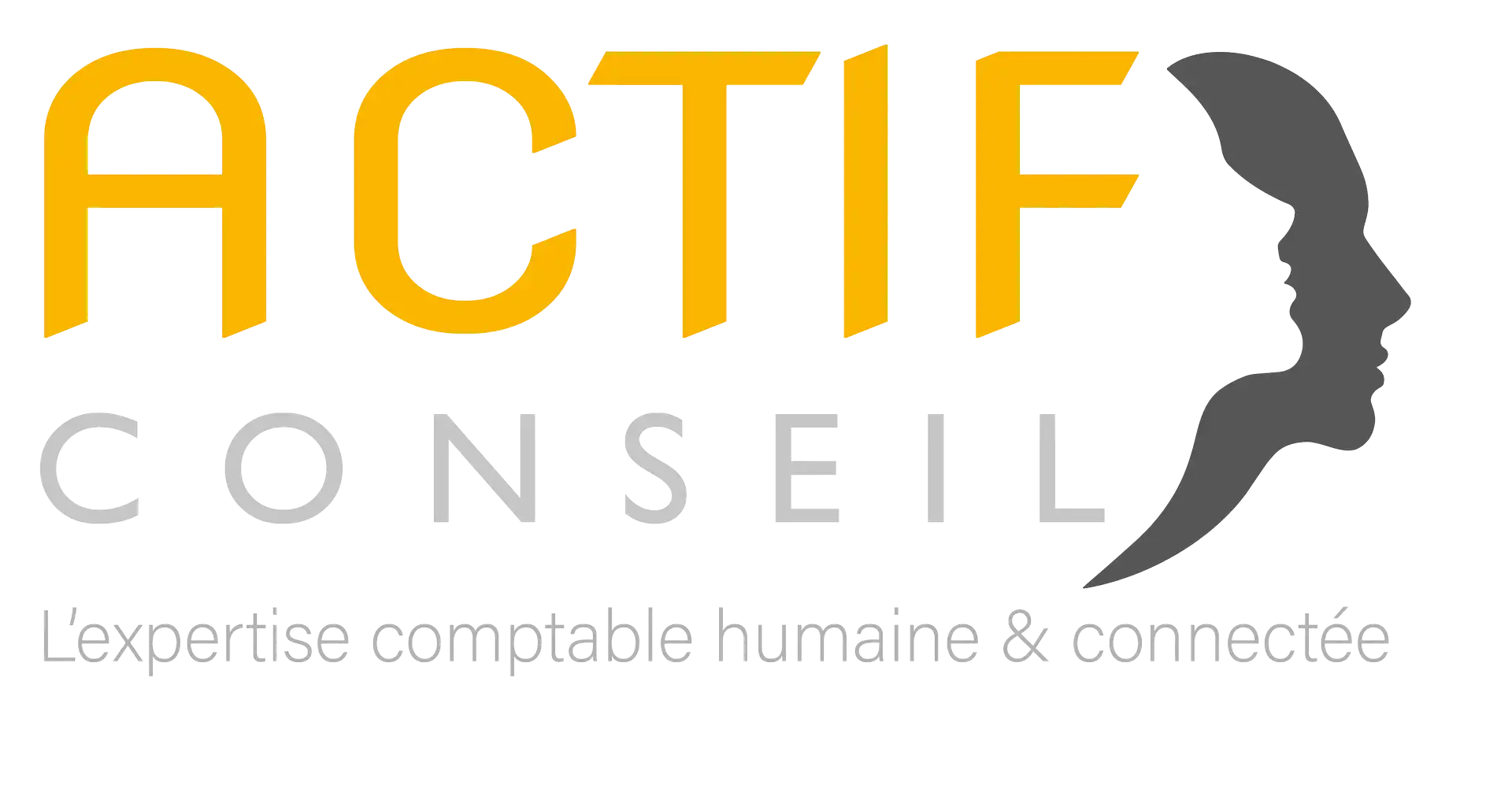 logo de Actif Conseil Toulouse