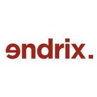 logo de Endrix