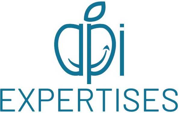 logo de API Expertises