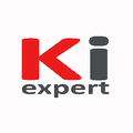 logo de KI Expert