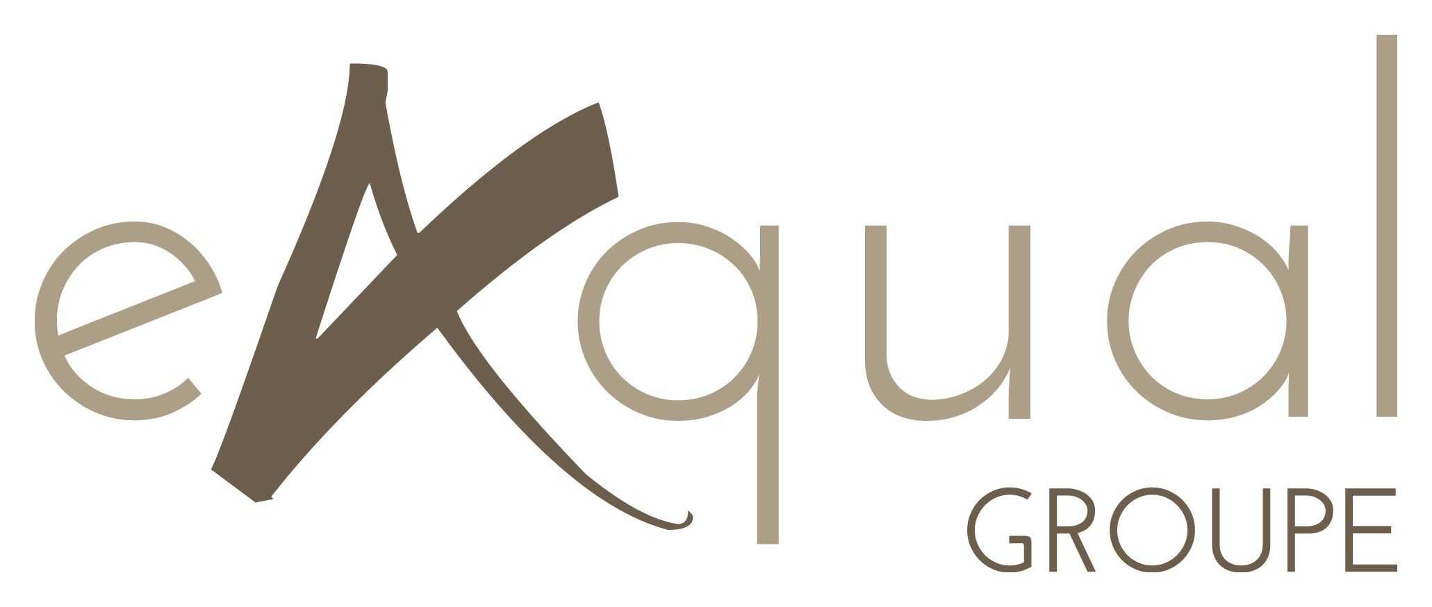 logo de Exqual