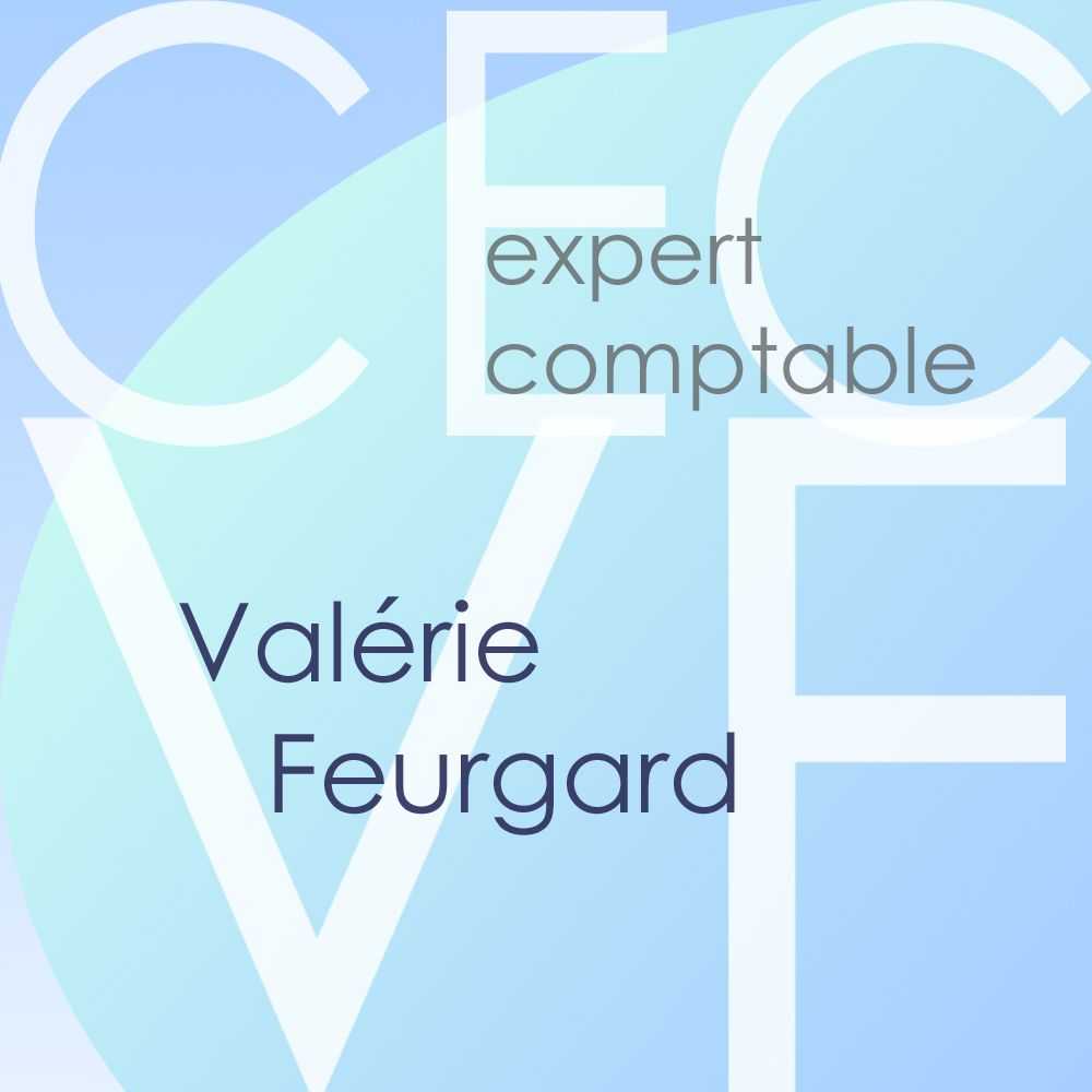 logo de CECVF
