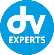 logo de DV Experts