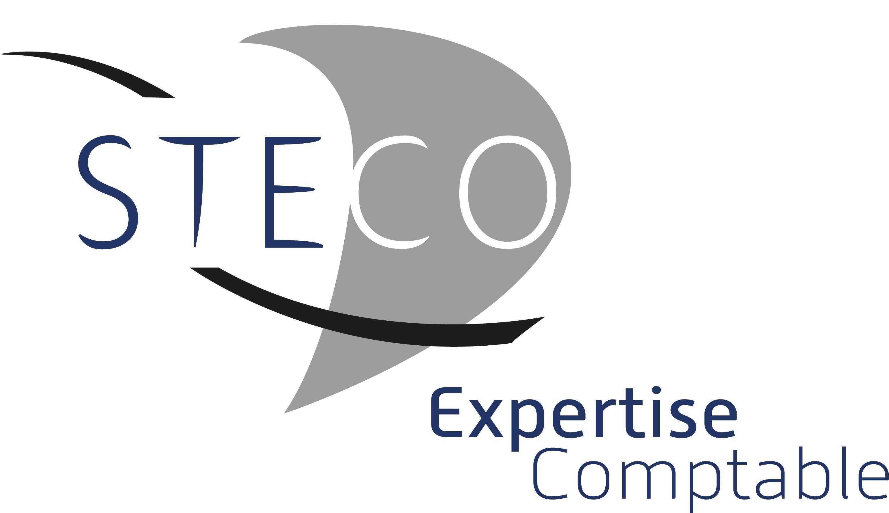 logo de STECO