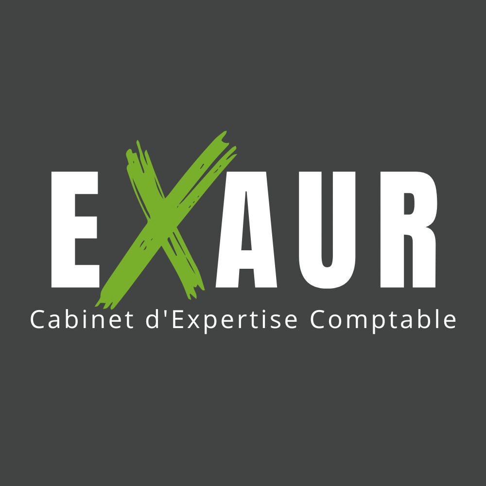 Logo de Exaur